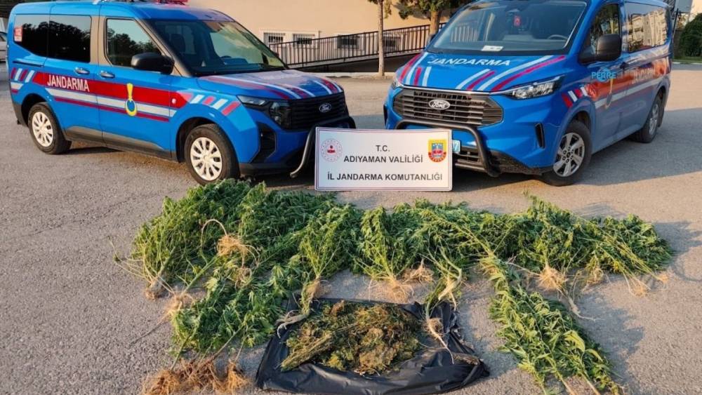 Kahta&rsquo;da uyuşturucu operasyonu: 1,5 kilo kubar esrar ve 42 k&ouml;k kenevir ele ge&ccedil;irildi 