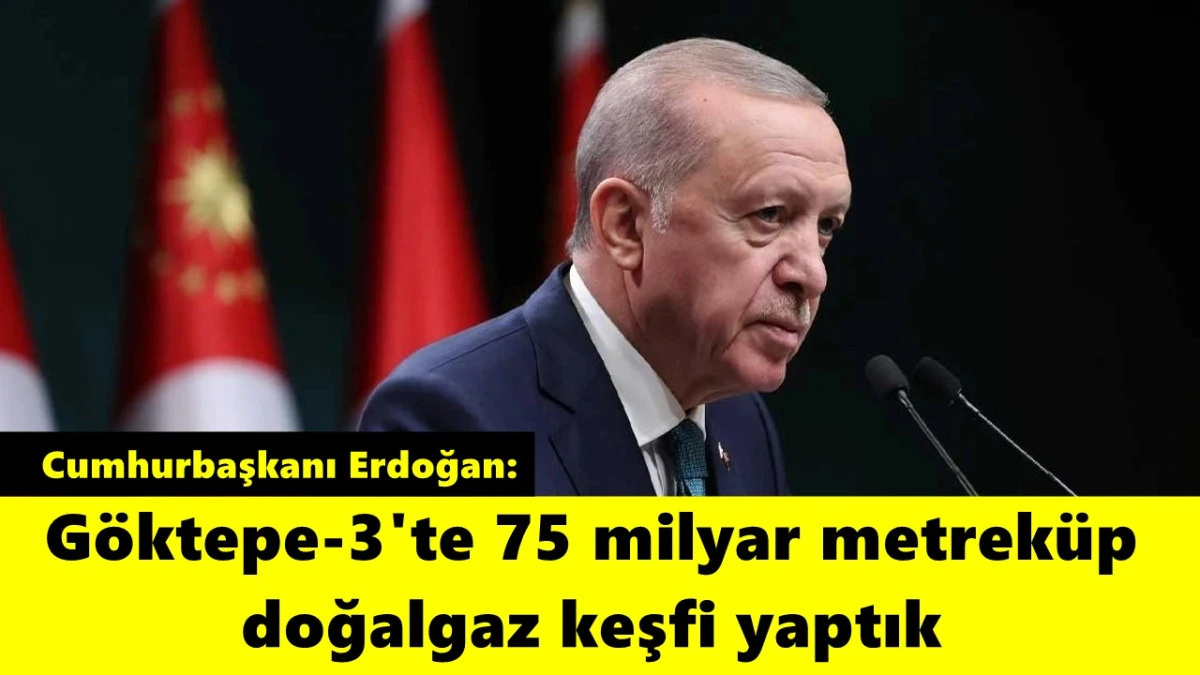 Cumhurbaşkanı Erdoğan: Göktepe-3'te 75 milyar metreküp doğalgaz keşfi yaptık