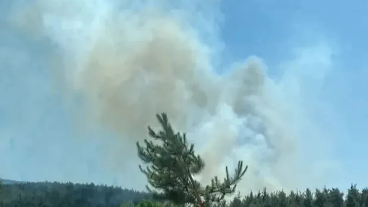 Denizli&rsquo;de filtre fabrikasında yangın